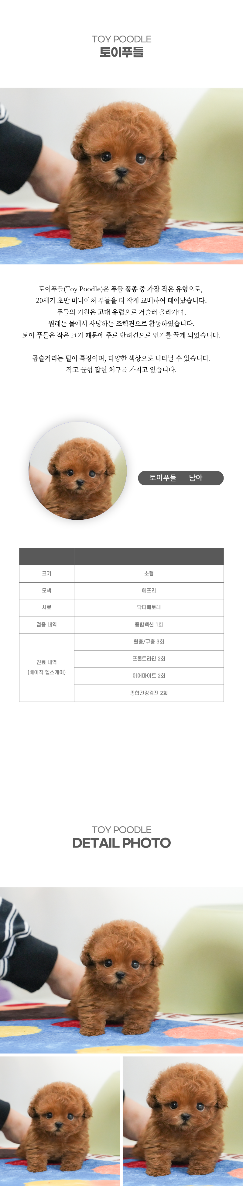 토이푸들_상세이미지_2